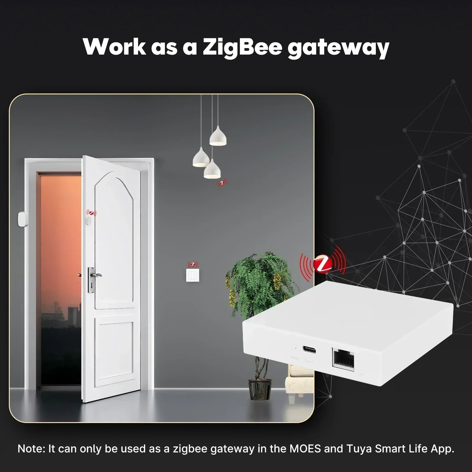 MOES Tuya Zigbee Matter 스레드 게이 - Smart Home Website 리뷰 및 가격