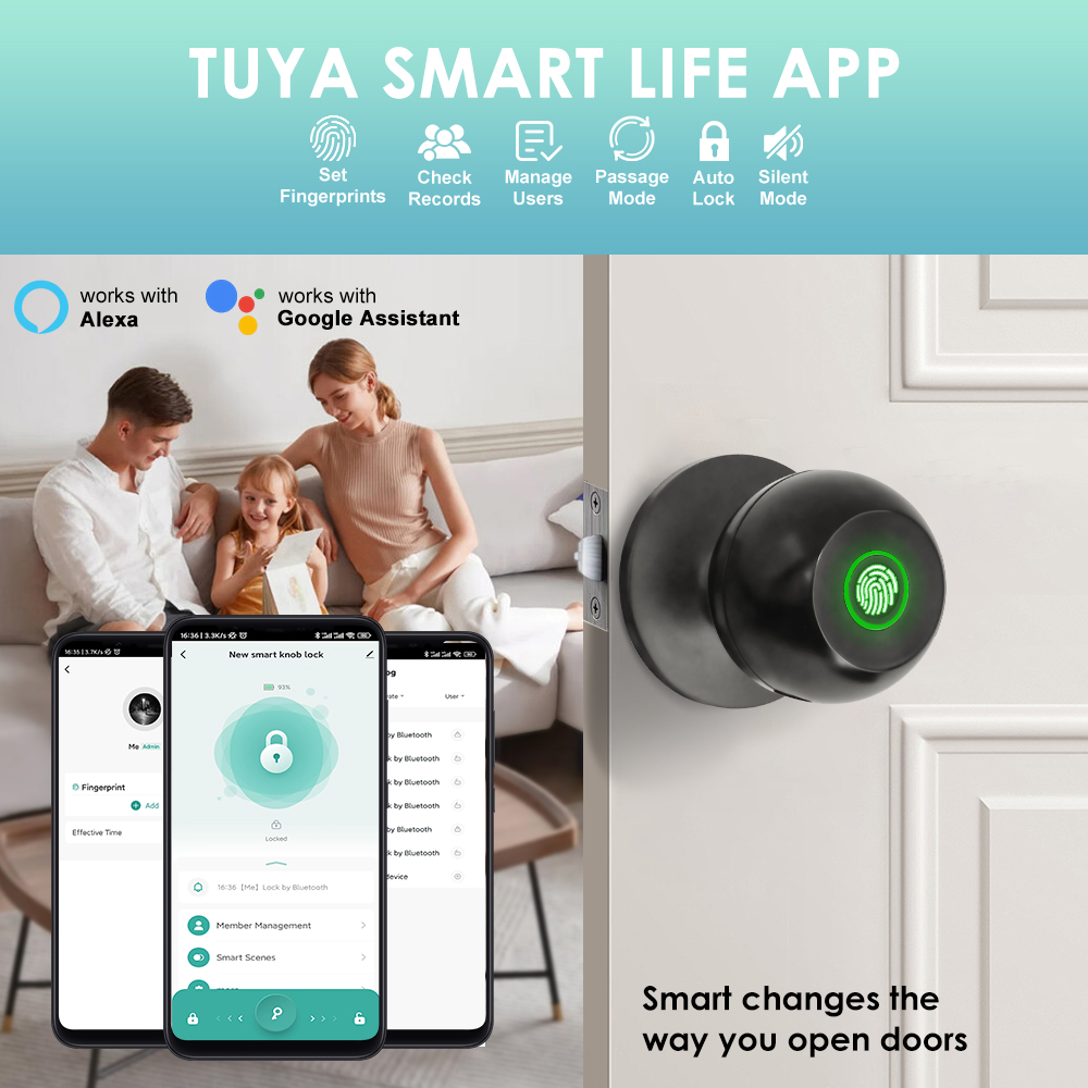 투야 전자 도어락 스마트 외부 도어락 지문 키 스마트  - Smart Home Website 리뷰 및 가격
