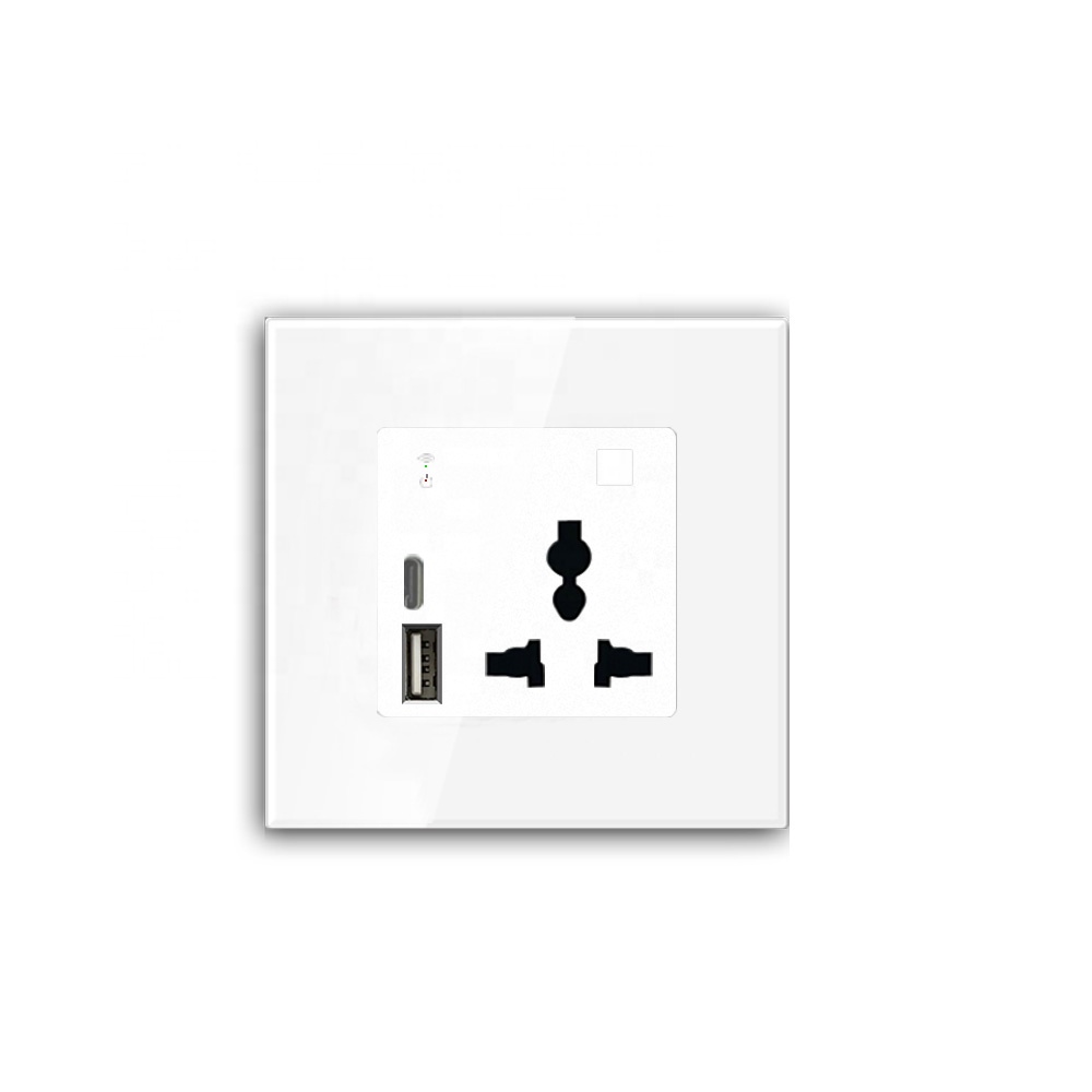 스마트 홈 시스템 WIFI 벽면 콘센트 USB/타입 C - Wifi Smart Plug 리뷰 및 가격