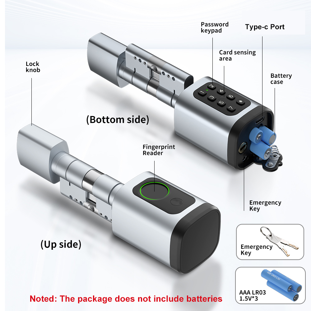 RAYKUBE V1 Tuya BLE TT 잠금 장치 D - Smart Home Website 리뷰 및 가격