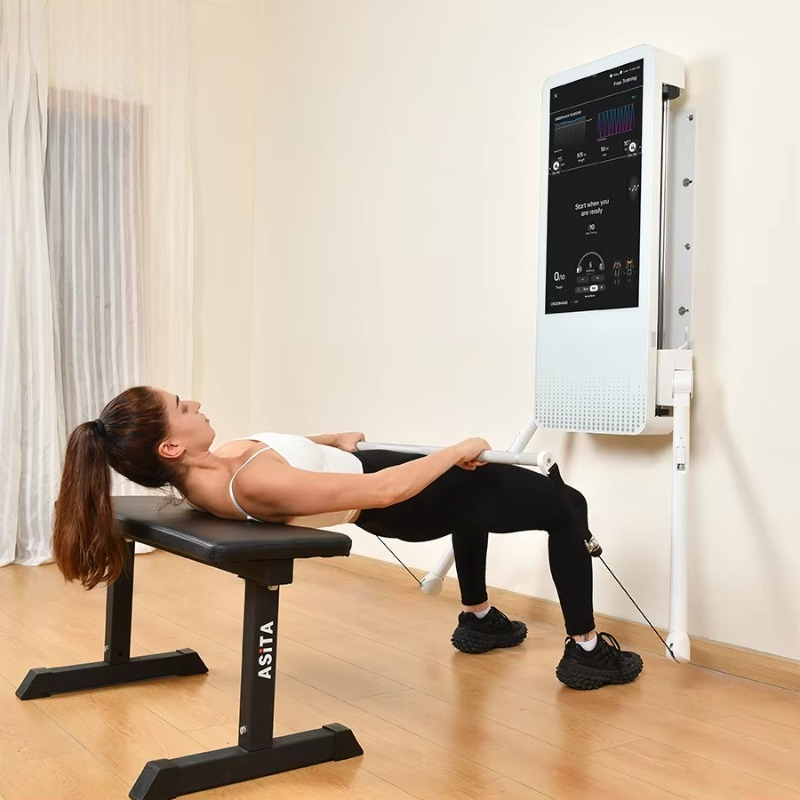 다기능 홈 피트니스 장비: 토날 벽걸이형 스마트 트래킹 - Smart Home Gym 리뷰 및 가격