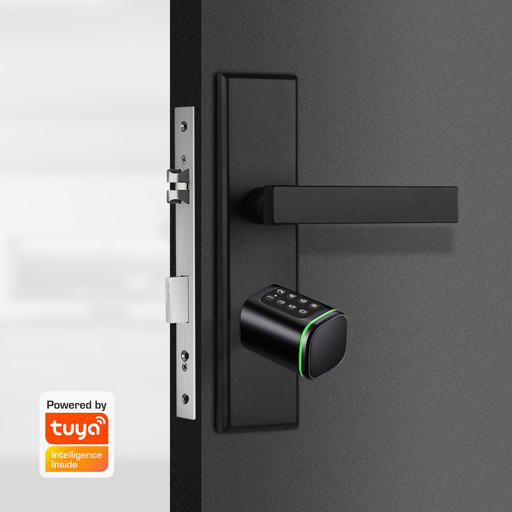 스마트 실린더 잠금 장치 Tuya 60-90mm 전기  - Smart Home Website 리뷰 및 가격